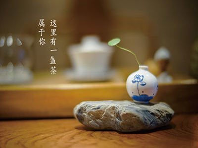 欢迎来到我的小站！